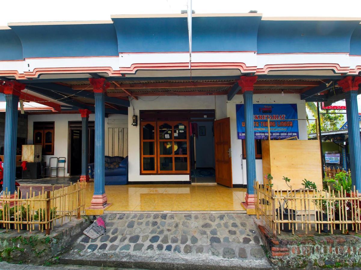 Oyo Homes 91134 Desa Wisata Tebing Lingga Trenggalek Экстерьер фото